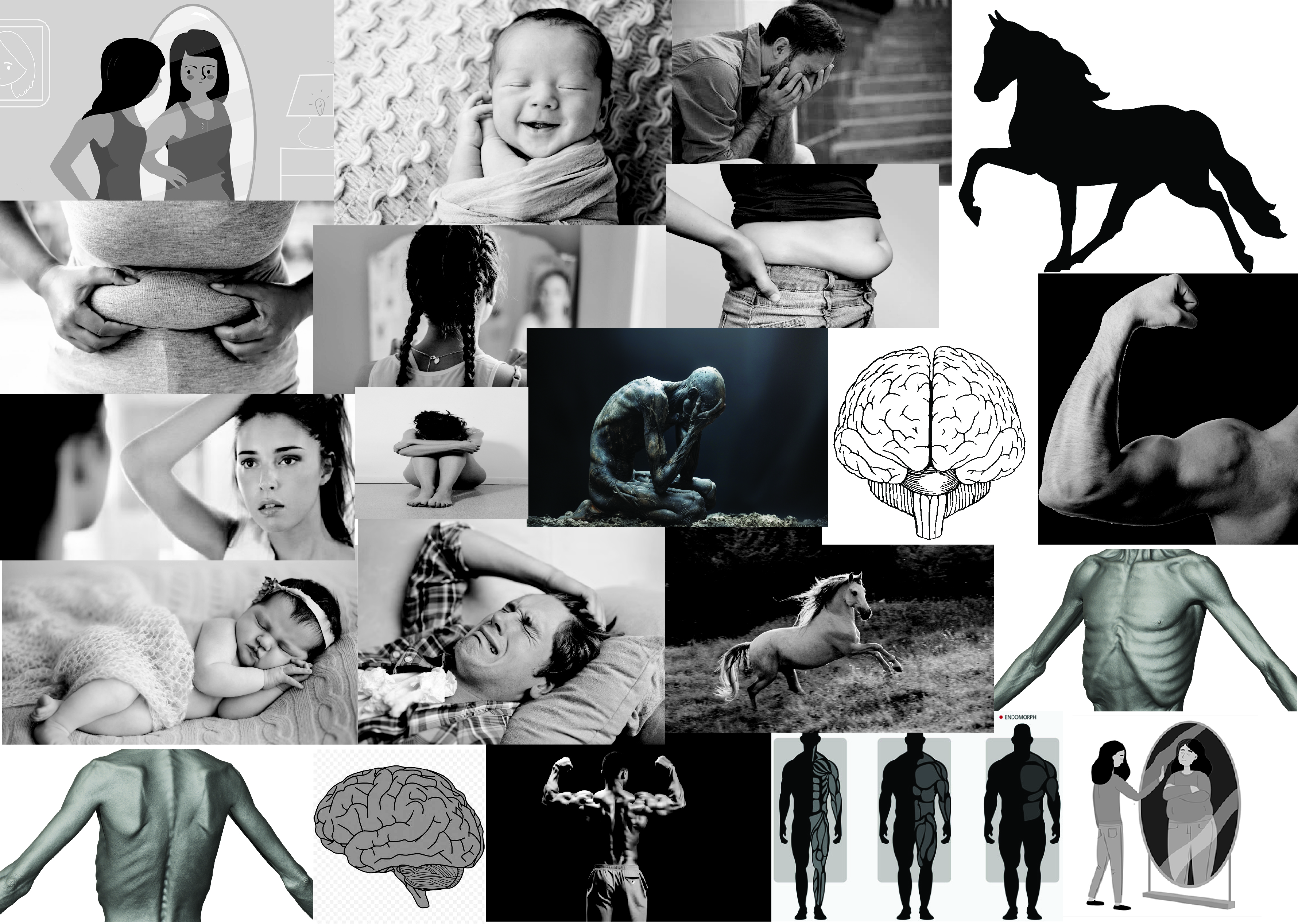 Zine mood board